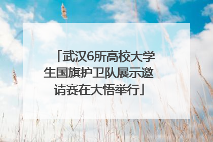 武汉6所高校大学生国旗护卫队展示邀请赛在大悟举行